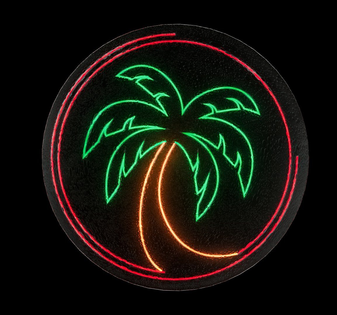 The palm as a neon sign: a green palm with an orange trunk inside a red neon ring, on a dark wall.