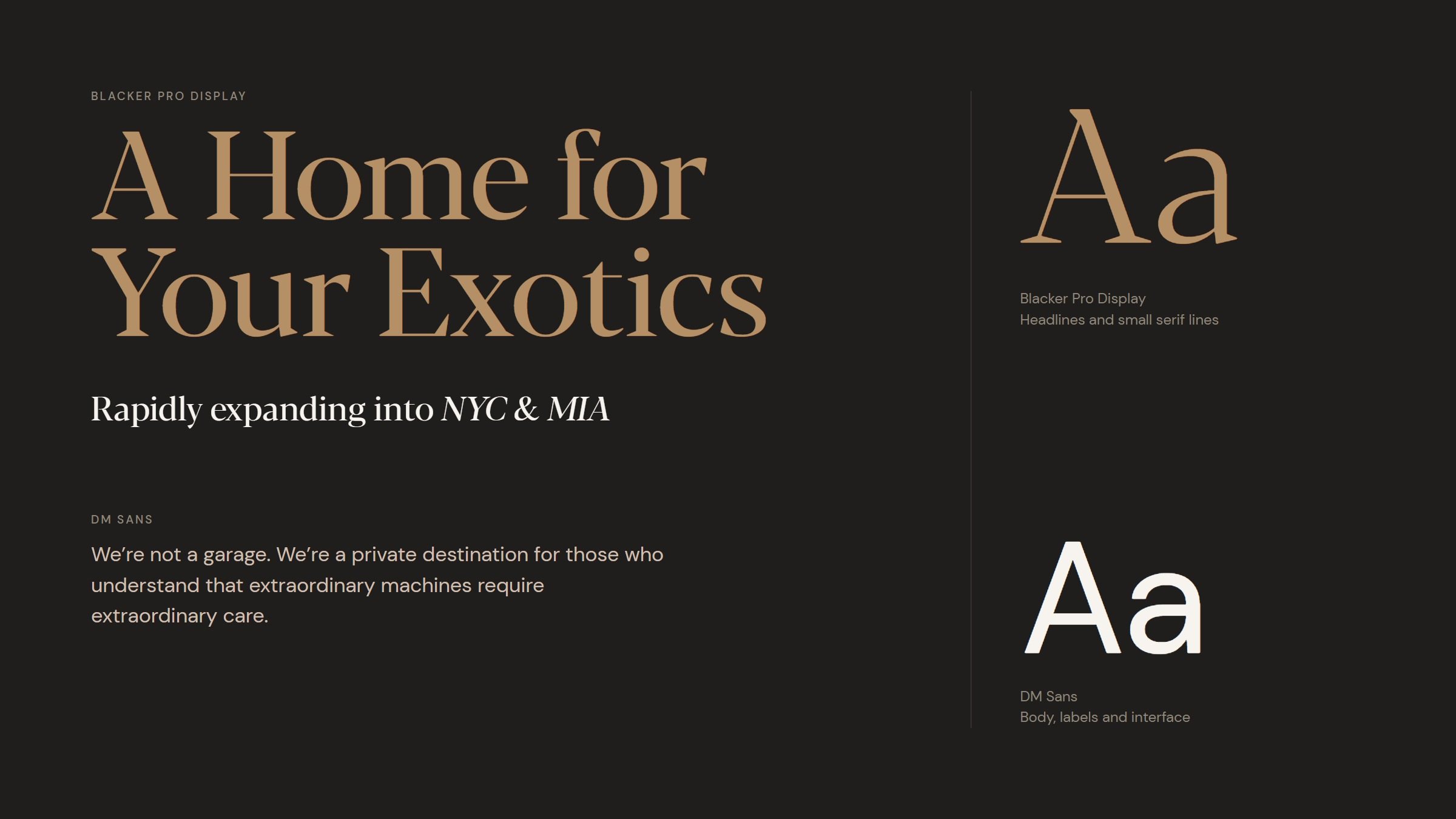 Type in use: 'A Home for Your Exotics' in Blacker Pro Display, a line in Blacker italic, and body copy in DM Sans, with specimens of both faces.