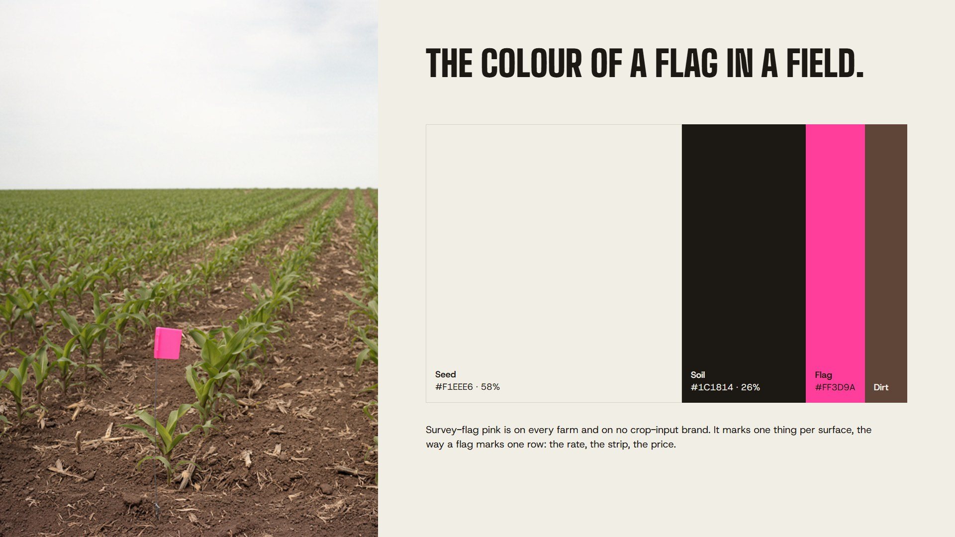 A pink flag in young corn beside the palette: seed, soil, flag and dirt in proportion