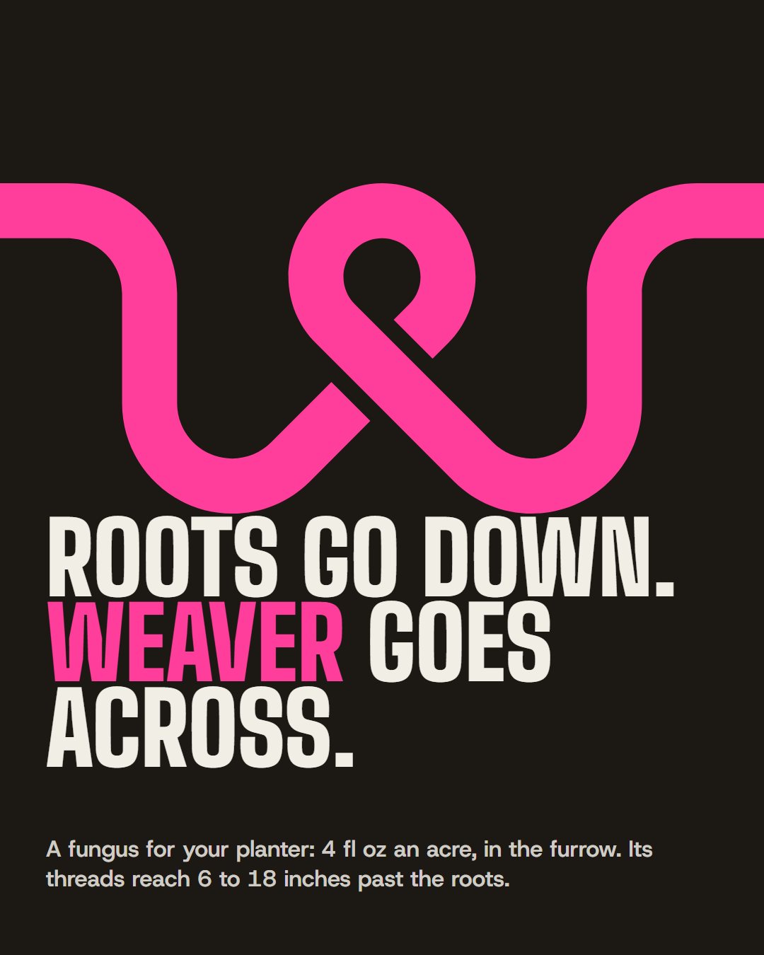 Social post: Roots go down. Weaver goes across.
